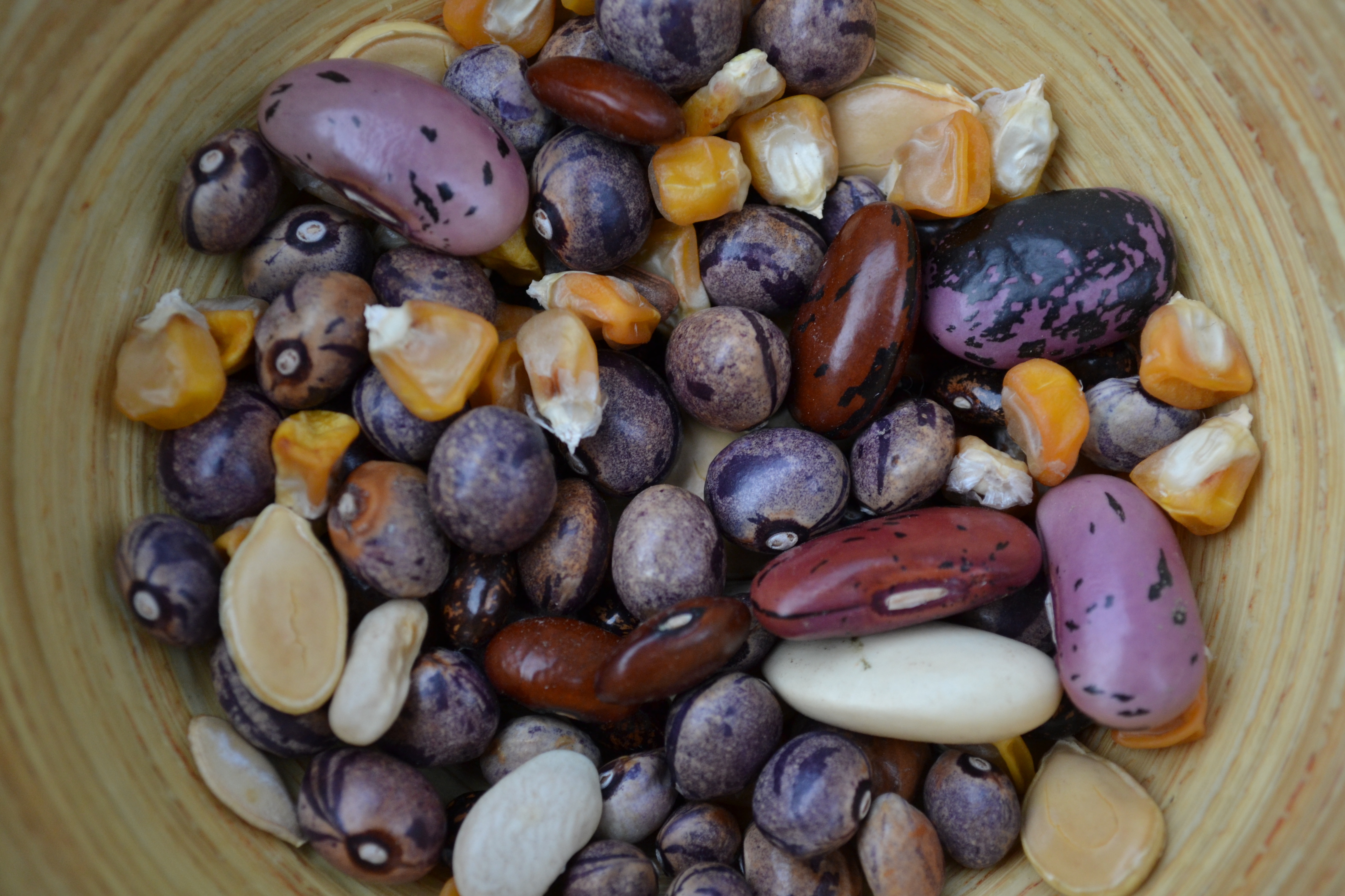 Mix of different seeds in a bowl