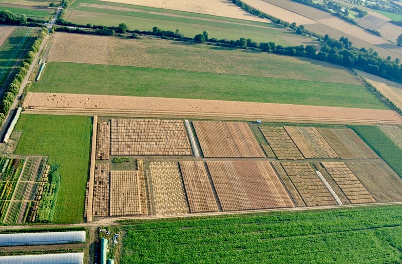 trial fields in different colours, looked at from a bird perspective